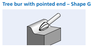 Pointed Tree, Shape G Bur